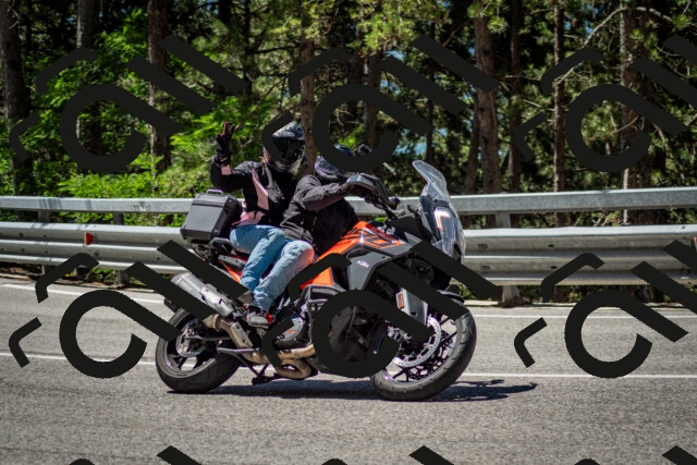 202506291143-DSC_2945_c2