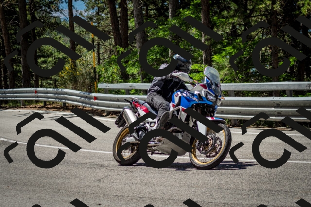 202506291144-DSC_2956_c2