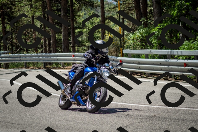 202506291149-DSC_2977_c2