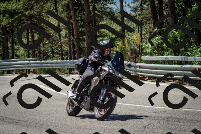 202506291149-DSC_2981_c2