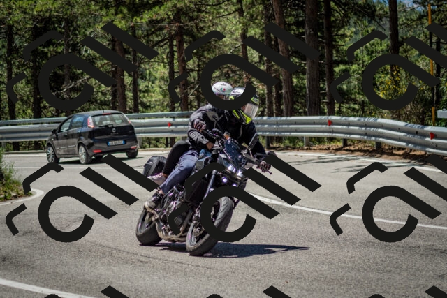 202506291149-DSC_2987_c2