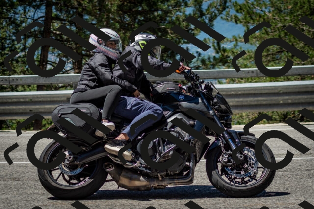 202506291149-DSC_2988_c2