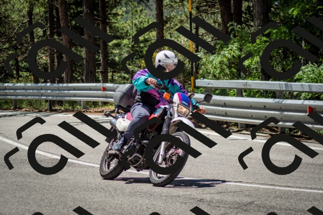 202506291149-DSC_2995_c2