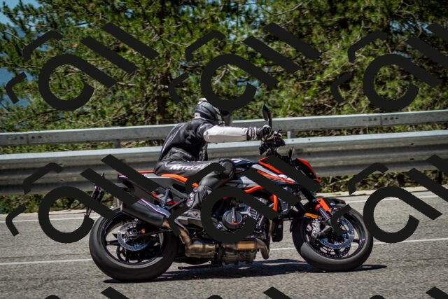 202506291149-DSC_2998_c2