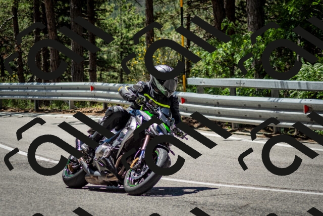 202506291149-DSC_2999_c2