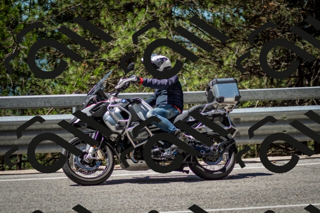 202506291149-DSC_3002_c2