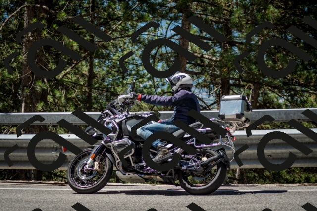 202506291149-DSC_3003_c2