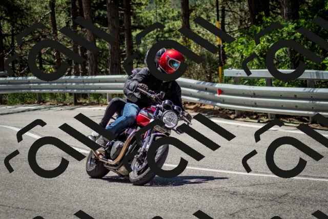 202506291149-DSC_3004_c2