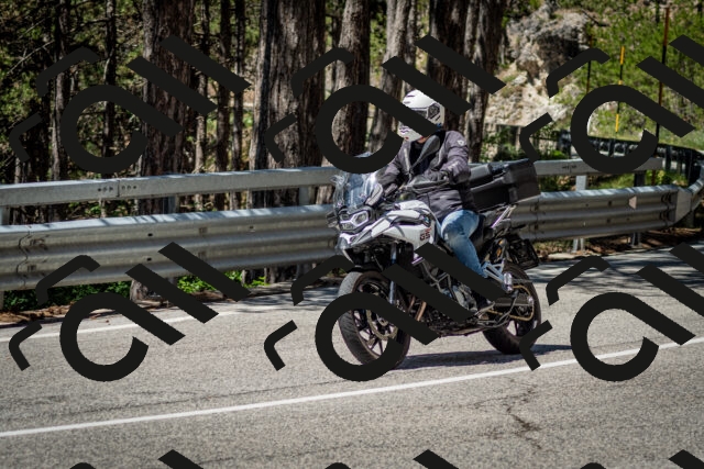 202506291150-DSC_3006_c2