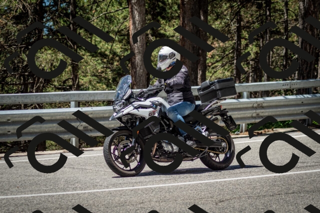 202506291150-DSC_3007_c2