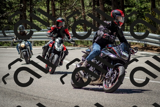 202506291150-DSC_3011_c2