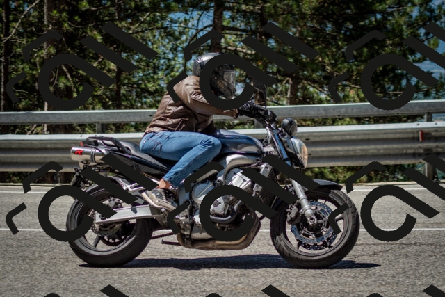 202506291150-DSC_3014_c2