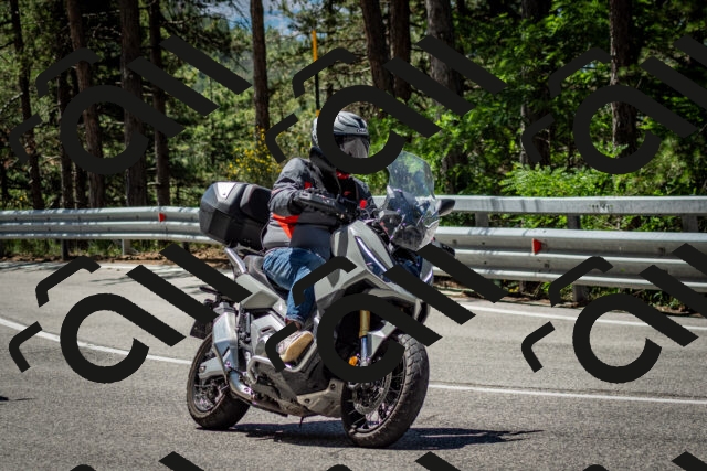 202506291150-DSC_3017_c2