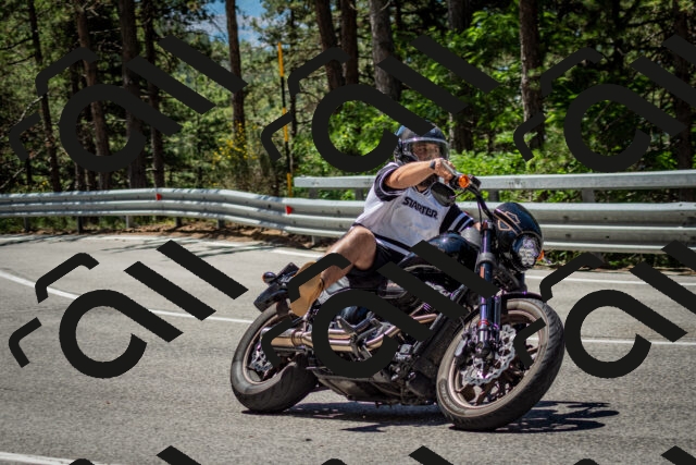 202506291150-DSC_3019_c2