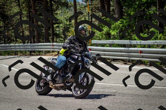 202506291150-DSC_3022_c2