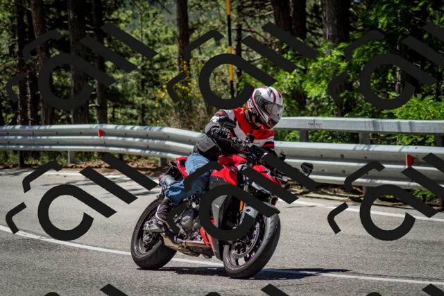 202506291150-DSC_3023_c2