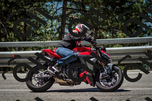 202506291150-DSC_3024_c2