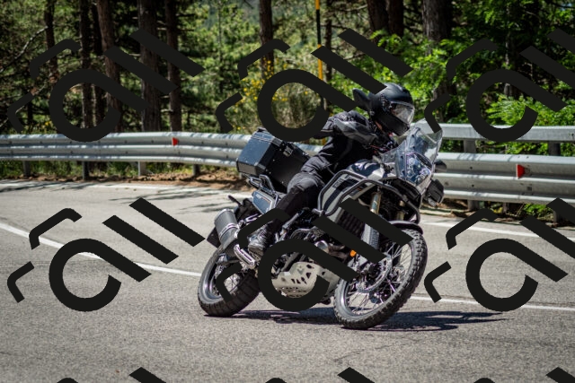 202506291150-DSC_3025_c2