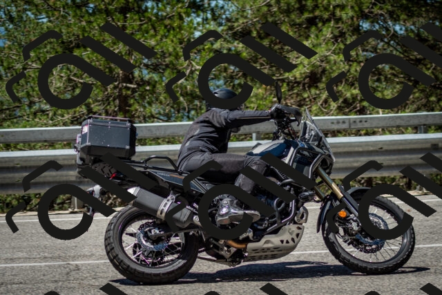 202506291150-DSC_3026_c2