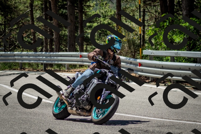 202506291150-DSC_3027_c2