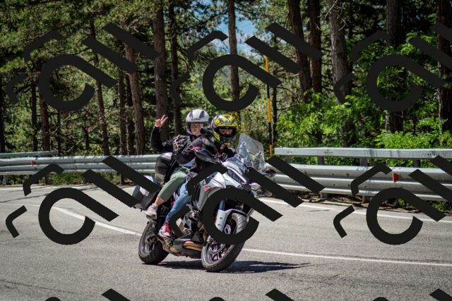 202506291150-DSC_3028_c2