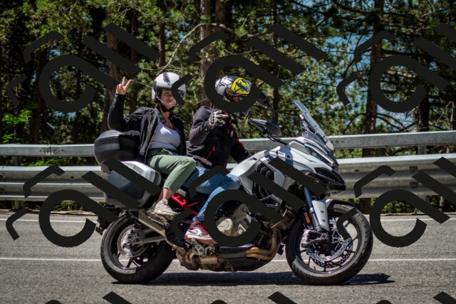 202506291150-DSC_3029_c2