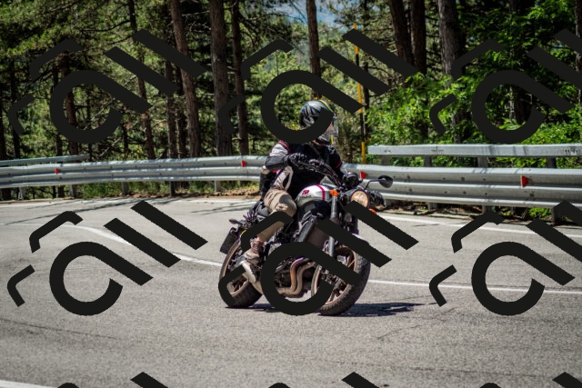 202506291150-DSC_3030_c2