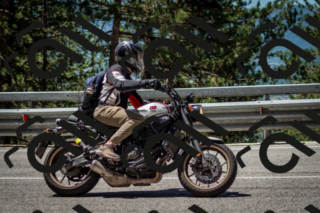 202506291150-DSC_3031_c2