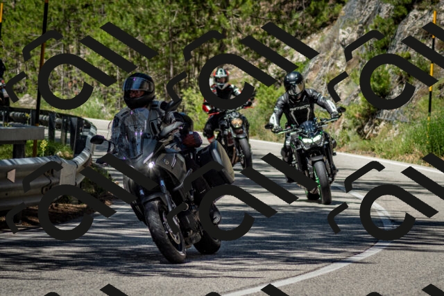 202506291150-DSC_3032_c2