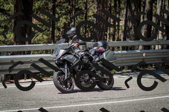 202506291150-DSC_3033_c2