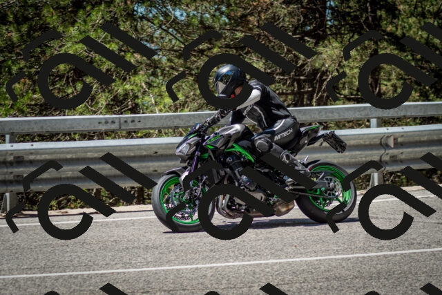 202506291150-DSC_3035_c2