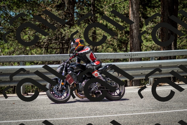 202506291150-DSC_3036_c2