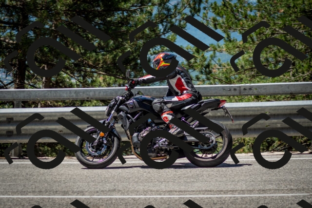 202506291150-DSC_3037_c2