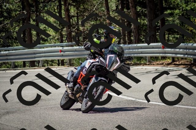 202506291151-DSC_3038_c2