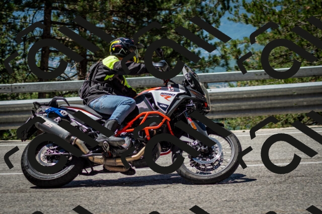 202506291151-DSC_3039_c2