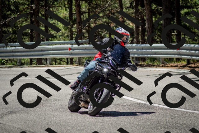 202506291151-DSC_3040_c2