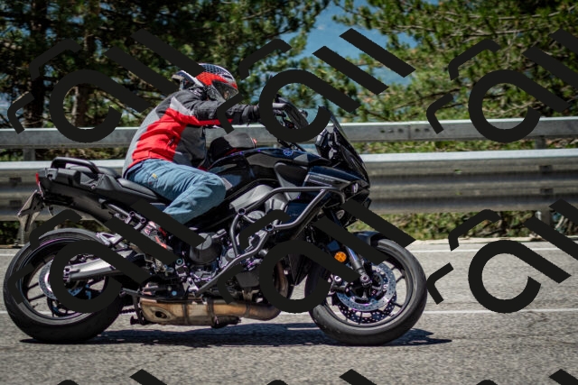 202506291151-DSC_3041_c2