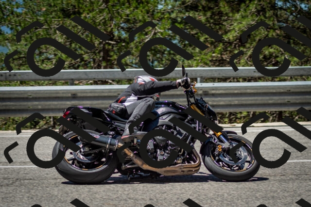 202506291151-DSC_3044_c2