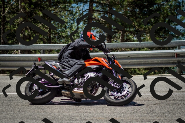 202506291151-DSC_3046_c2