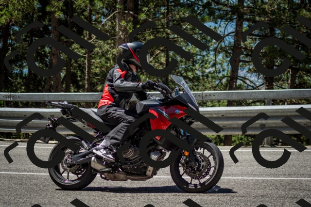 202506291152-DSC_3048_c2