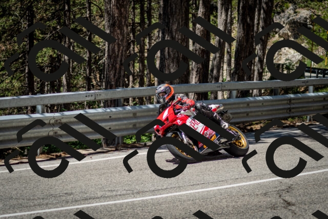 202506291152-DSC_3049_c2