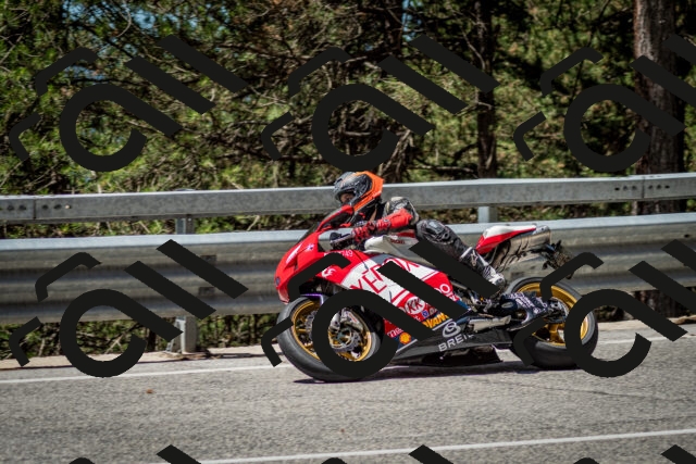 202506291152-DSC_3050_c2