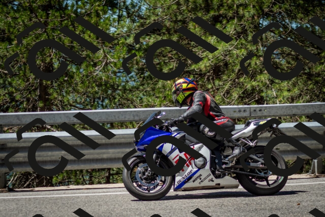 202506291153-DSC_3055_c2