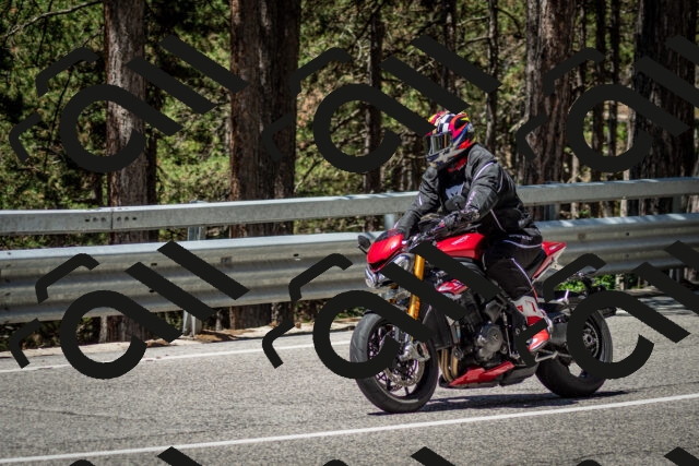 202506291154-DSC_3060_c2