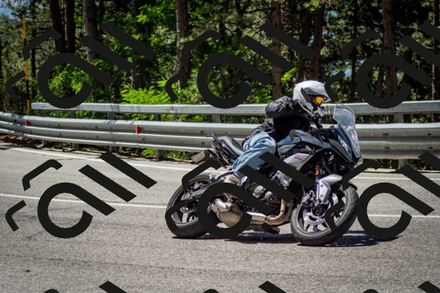 202506291156-DSC_3066_c2