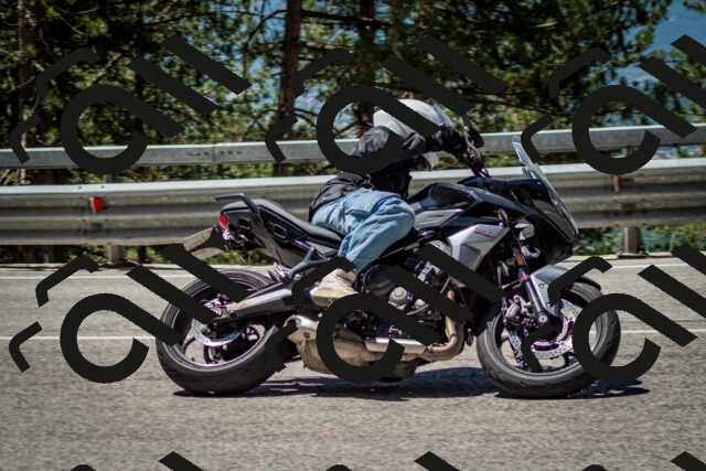 202506291156-DSC_3067_c2