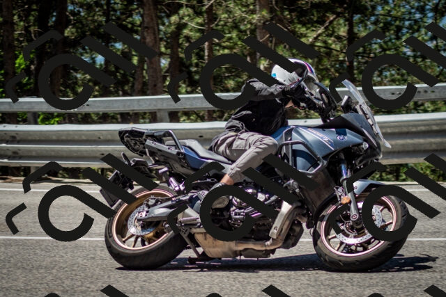 202506291156-DSC_3068_c2