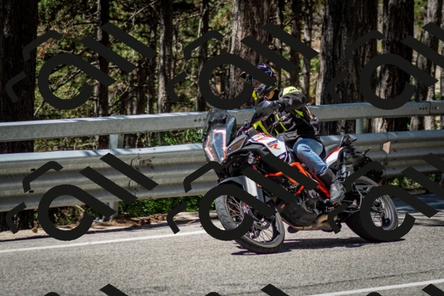 202506291158-DSC_3079_c2