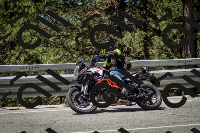 202506291158-DSC_3080_c2