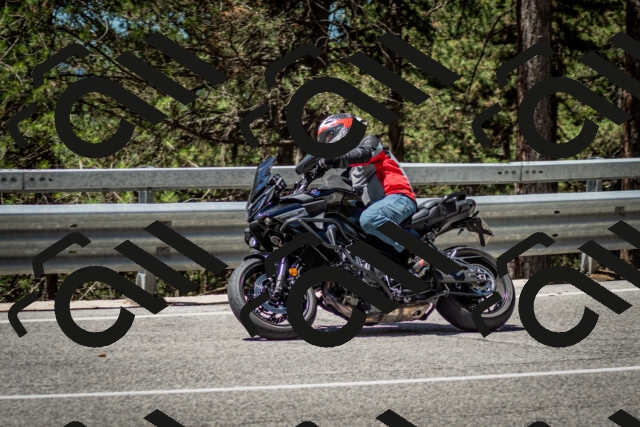 202506291158-DSC_3081_c2